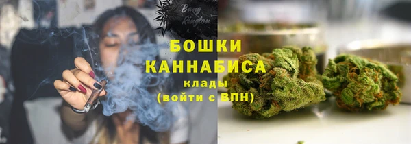 spice Покачи