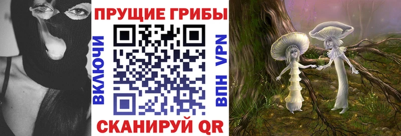 купить наркоту  Себеж  Галлюциногенные грибы Psilocybine cubensis 